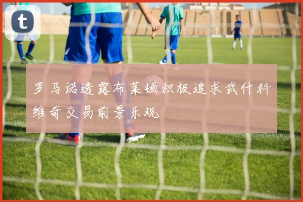 罗马诺透露布莱顿积极追求武什科维奇交易前景乐观