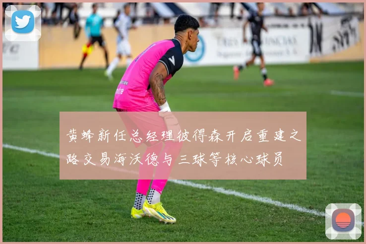 黄蜂新任总经理彼得森开启重建之路交易海沃德与三球等核心球员