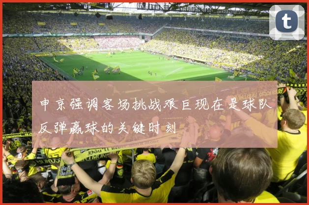 申京强调客场挑战艰巨现在是球队反弹赢球的关键时刻